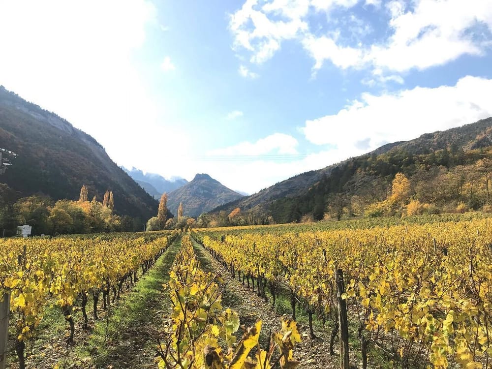 Palmarès du Concours Général Agricole 2024 : 11 médailles pour les AOC Clairette et Crémant de Die post image