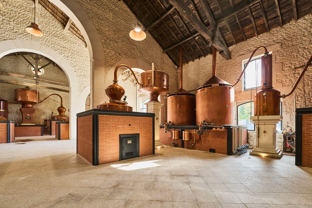 Citadelle Gin élu "Meilleure attraction touristique au monde 2025" post image