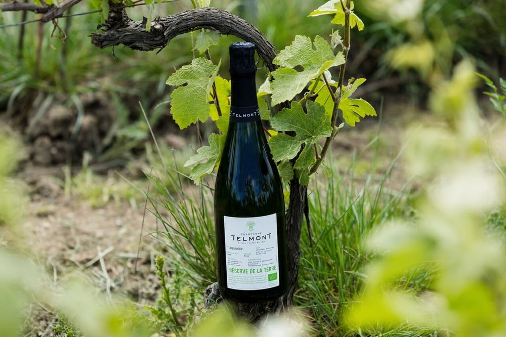 Telmont dévoile la 3e édition de sa cuvée « Réserve de la Terre » post image