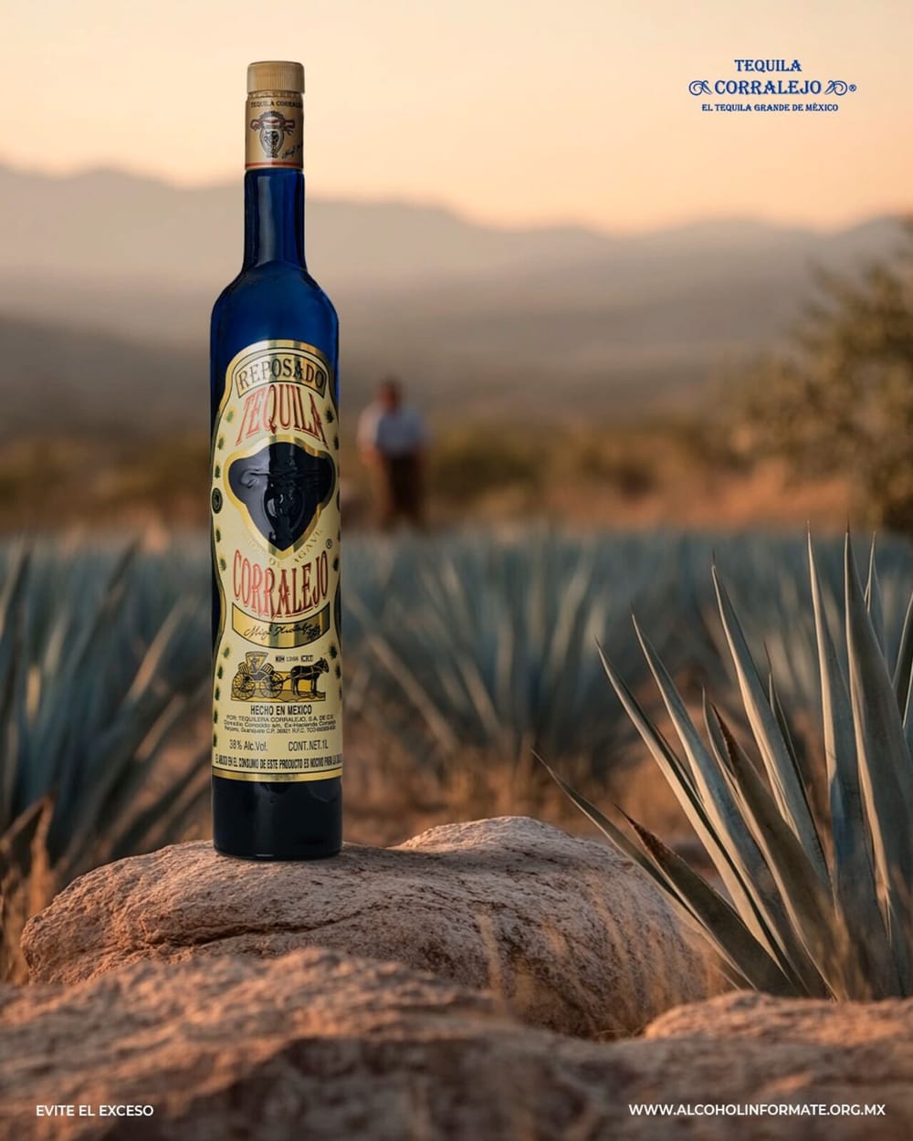 IQ Spirits frappe fort : huit nouvelles marques d'exception rejoignent le portefeuille post image