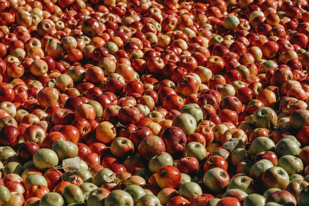 Cidre post feature image