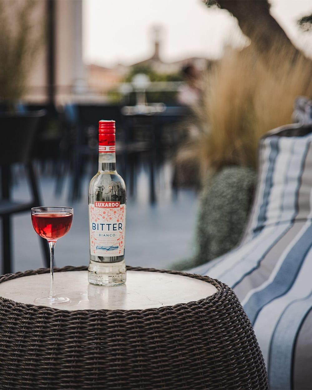 CBH lance sa première édition nationale Luxardo Cocktail Competition post feature image