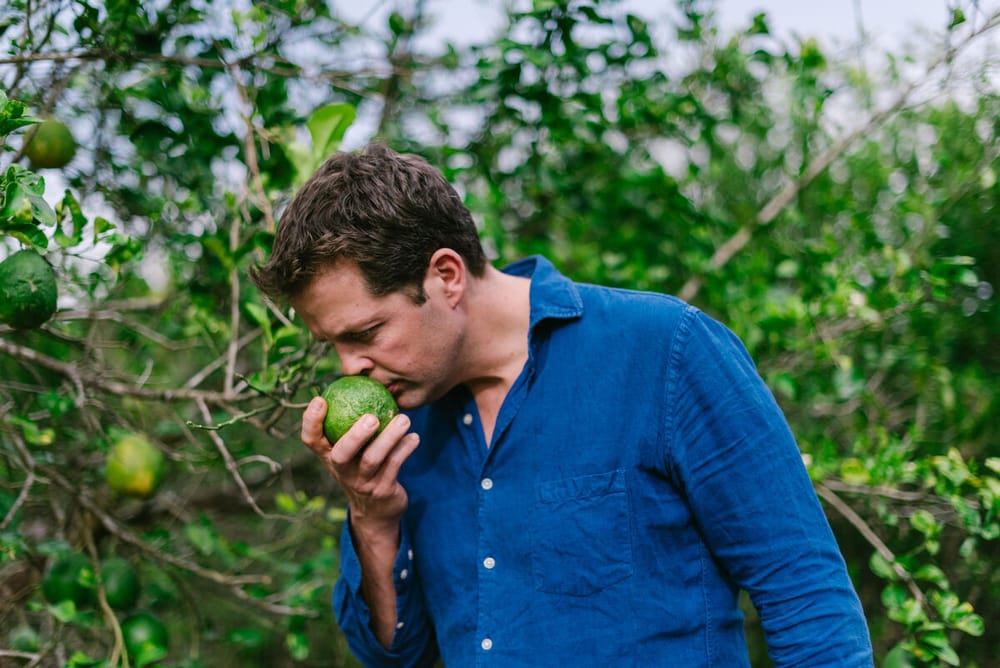 Fever-Tree Ginger Beer Citron Vert : une nouvelle expression du goût Fever-Tree post image