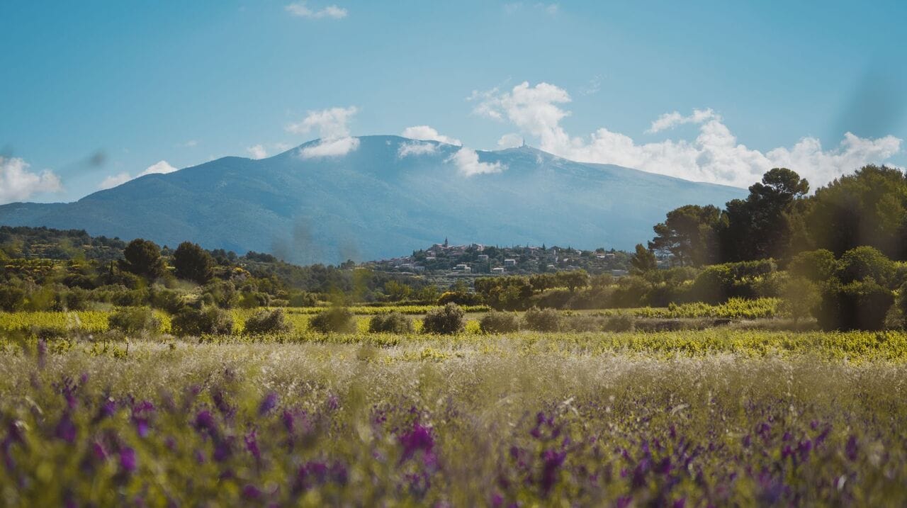 Concours des vins AOC Ventoux : le palmarès de cette 46ème édition !