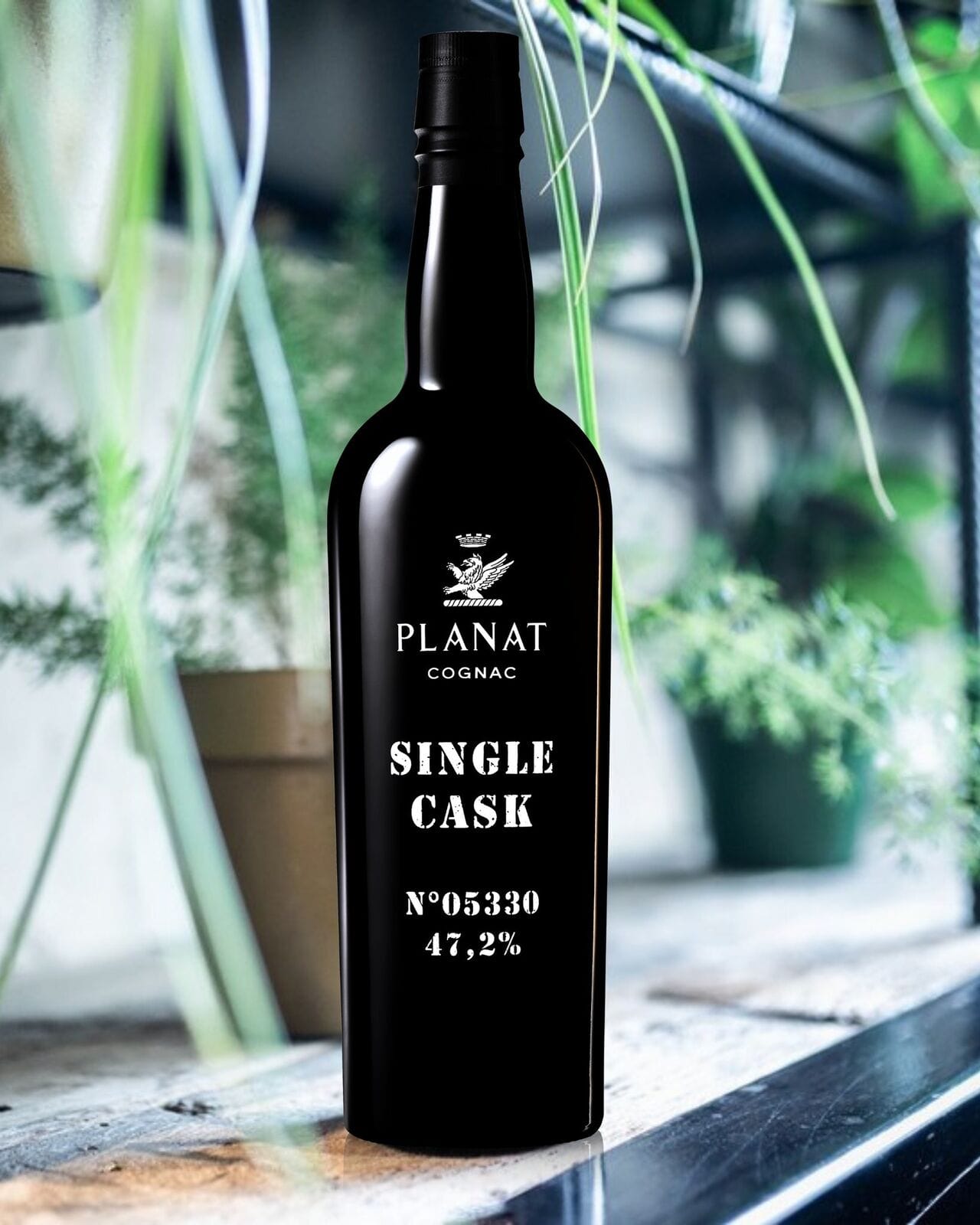 La Distillerie de Chevanceaux dévoile deux nouveaux Single Casks exclusifs