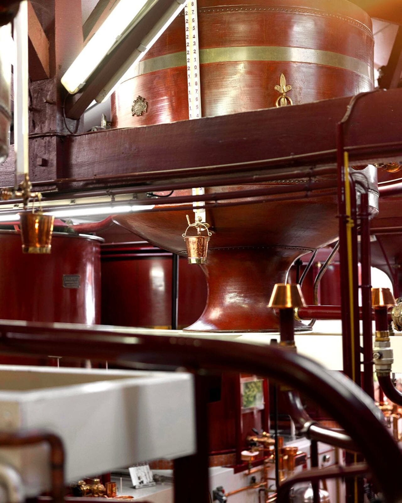 Cognac Larsen, un siècle en mouvement