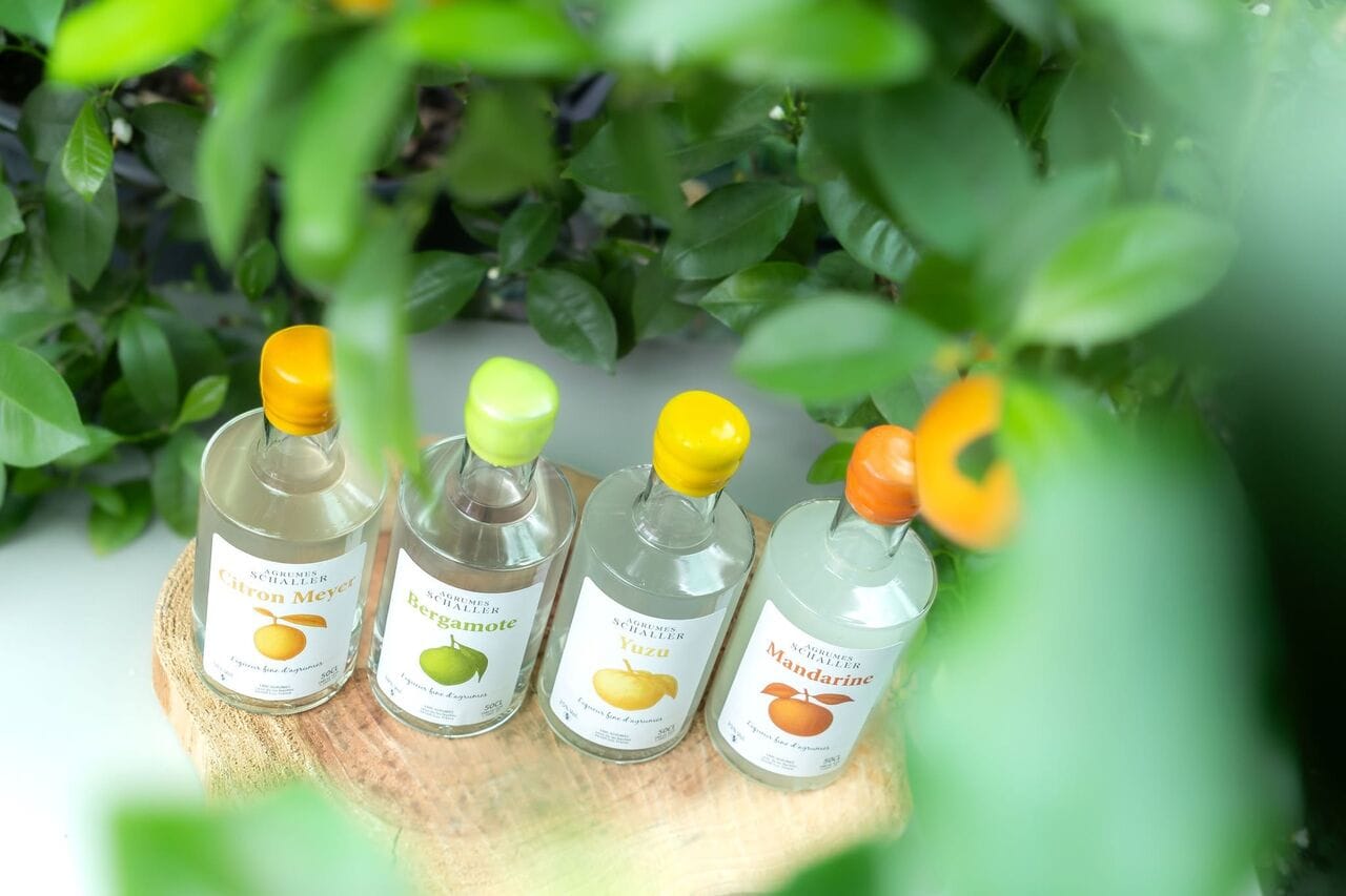 Agrumes Schaller présente ses liqueurs fines d'agrumes