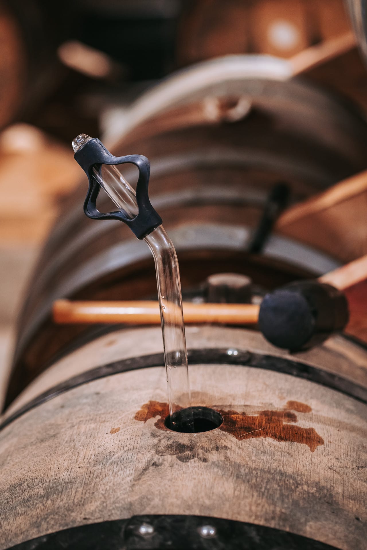 Aventure présente Nomad : une collection de single casks éphémères dédiée à l'exploration du rye whisky français
