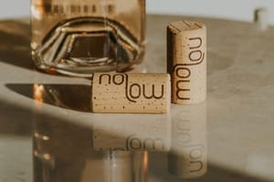 Vinventions lance Nomacorc nolow, le premier bouchon dédié aux vins sans ou à faible teneur en alcool post feature image