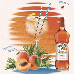 Garrigue Abricot Romarin : la French Touch ensoleillée de l'apéritif post feature image