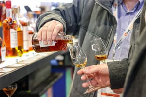 Wine Paris 2026 : l'Academy, une programmation immersive pour toute la filière post feature image