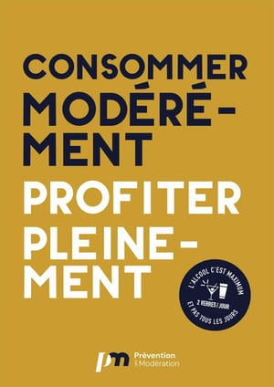 Alcool : la modération adoptée comme un nouveau mode de consommation post feature image