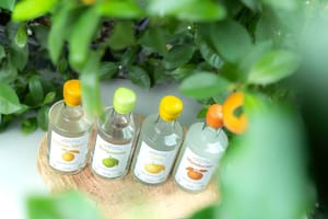 Agrumes Schaller présente ses liqueurs fines d'agrumes post feature image